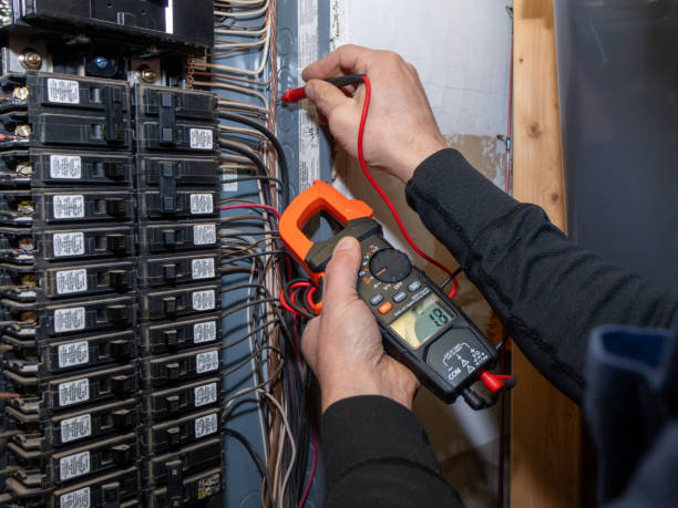 Best Electric Panel Repair  in Hartley, IA